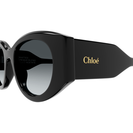 CH0251S-001